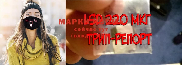 ГАЛЛЮЦИНОГЕННЫЕ ГРИБЫ Алзамай